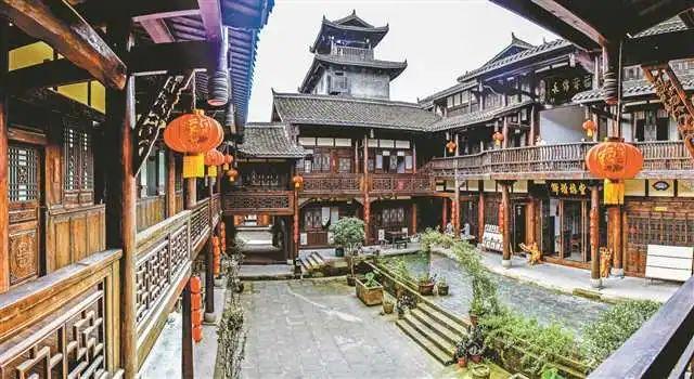重庆红岩景区红梅盛开 吸引市民寻香打卡